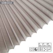 gobi-6113