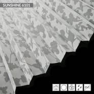 sunshine-6101