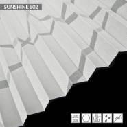 sunshine-802